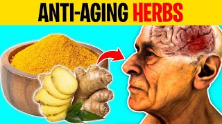 How To Stop Aging: 10 Anti-Aging Herbs You Need To Know About