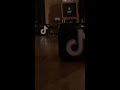 にしな - Billboard JAPAN | TikTok『NEXT FIRE』YouTube Edit