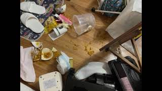 【宮城県震度6強】とりあえず生きてます