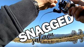 Accidentally snagging a salmon | Soloking Acura BFS salmon Fishing |