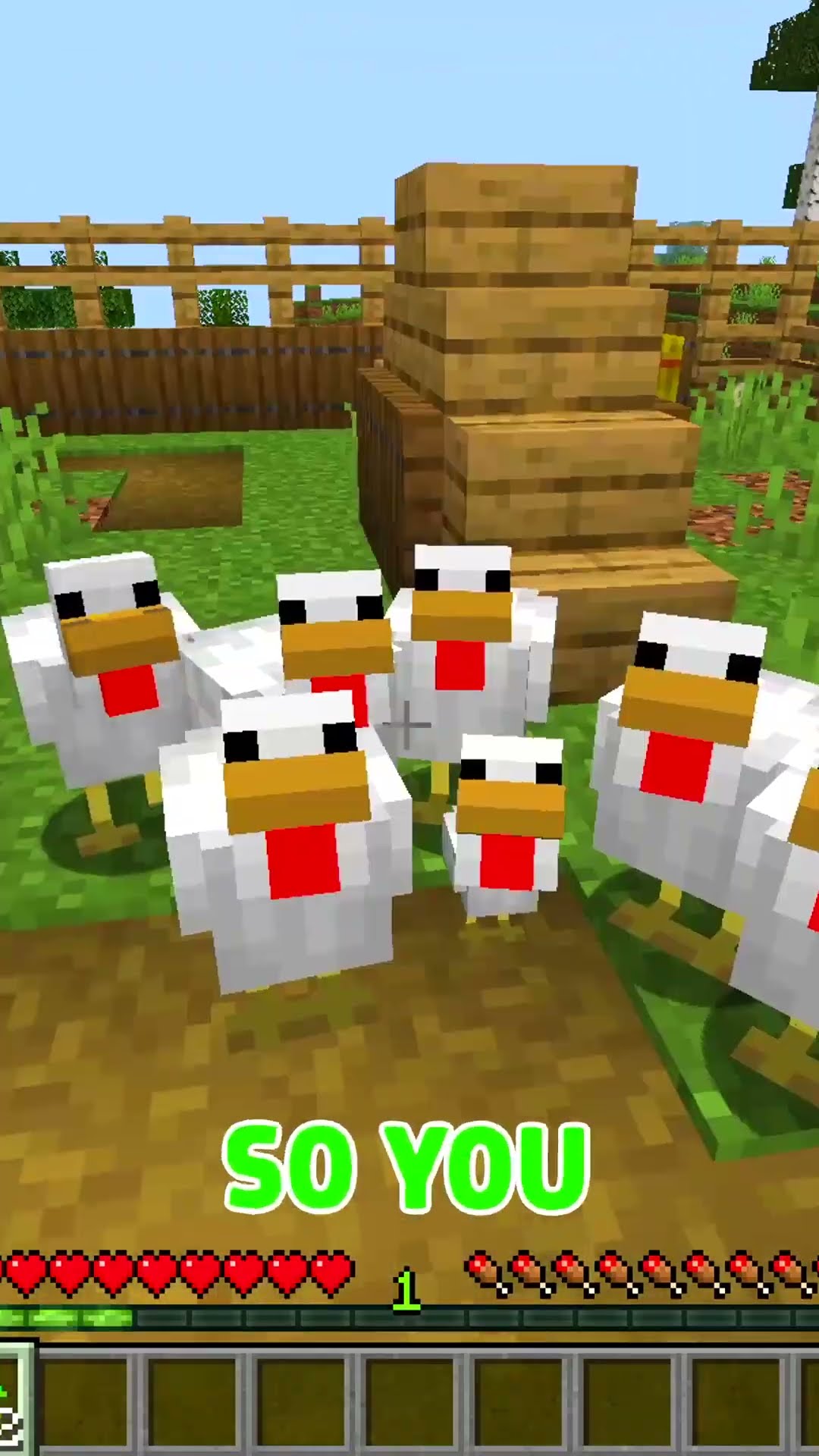 Chicken Morph Hide and Seek! (Minecraft)