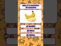 Qual é o coletivo de banana
