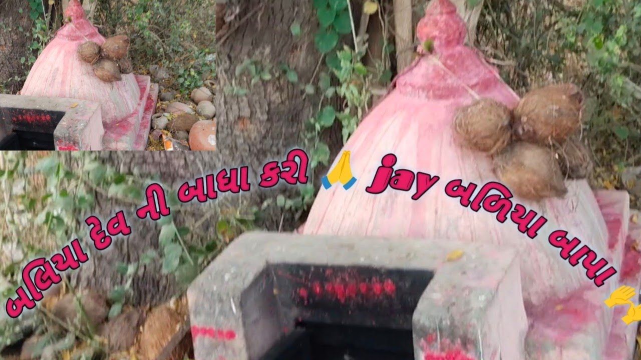 Badiya Dev ni badha // જય badiya Dev!! બળિયા દેવ ની બાધા કરી 🙏 જય બળિયા દેવ 🥰🙏