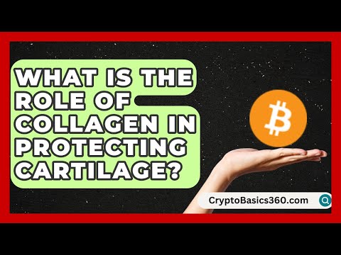 Role Of Collagen In Articular Cartilage