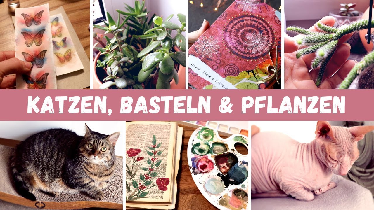 Dies & Das Vlog: Katzen, basteln & Pflanzen | Neue Journals