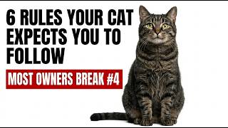 6 Rules Your Cat Expects You To Follow (Most Owners Break #4)