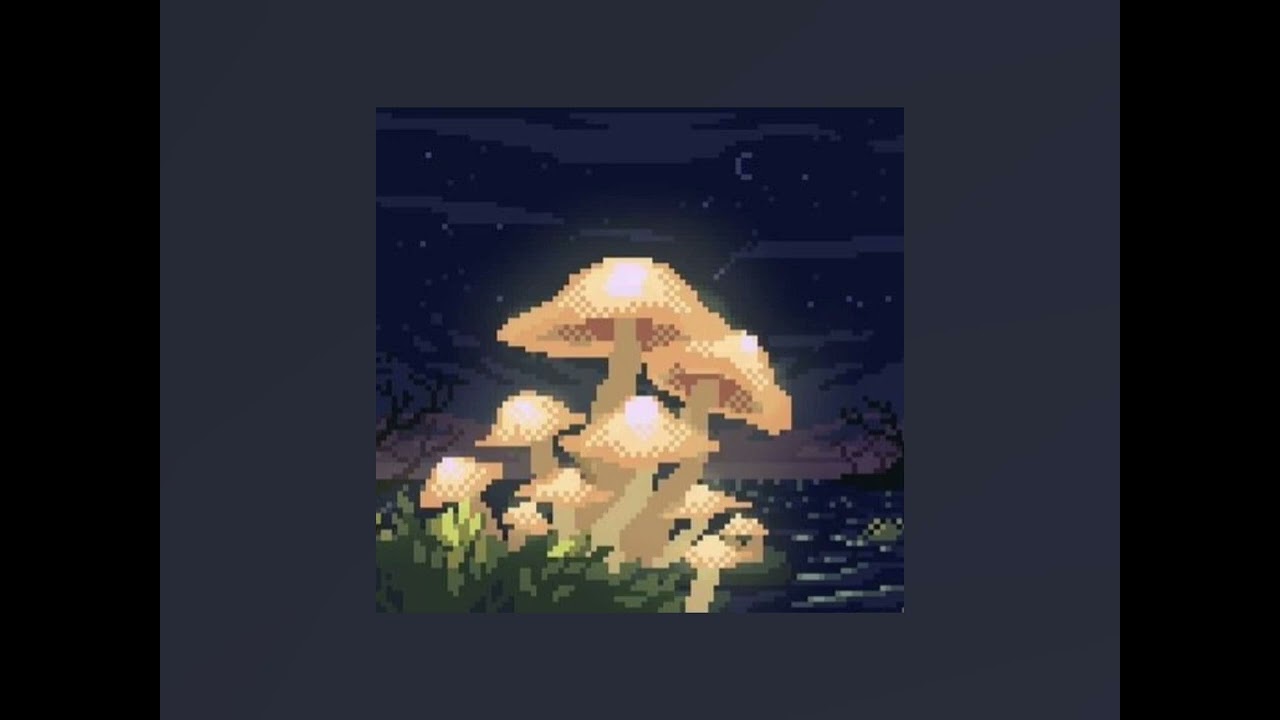 don- miranda! (speed up)