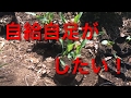 小屋暮らし開拓期12:自給自足への道
