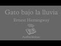 Gato bajo la lluvia – Hemingway (Audiolibro)