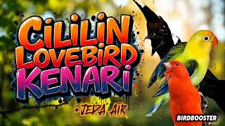 MASTERAN BURUNG SATU JALUR CILILIN LOVEBIRD KENARI + JEDA TERAPI AIR