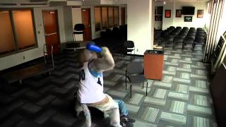 Timberwolves Harlem Shake Edition