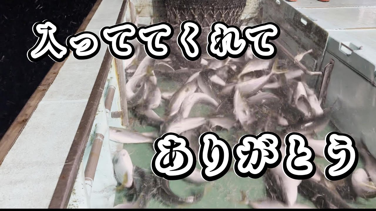 入ってた事に感謝