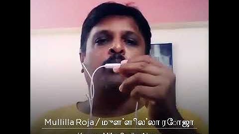 Mullilla Roja
