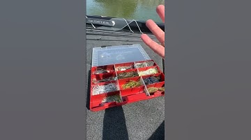 My Favorite Tackle Box!