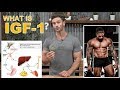 What is IGF-1? How the Growth Factors Build Muscle by Thomas DeLauer - Deer Antler Velvet Extract