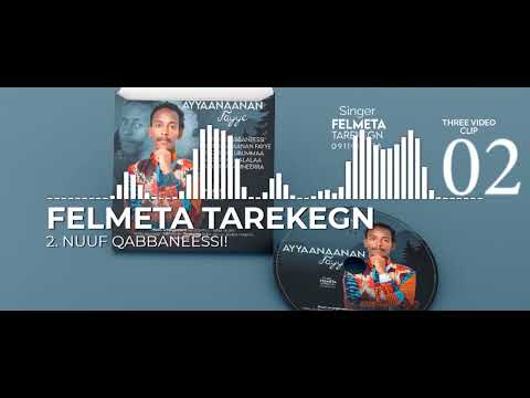 FELMETA TAREKEGN NON STOP AYYAANAANAN FAYYEE MUSIC