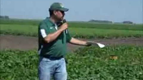 Dry Bean Variety Trial