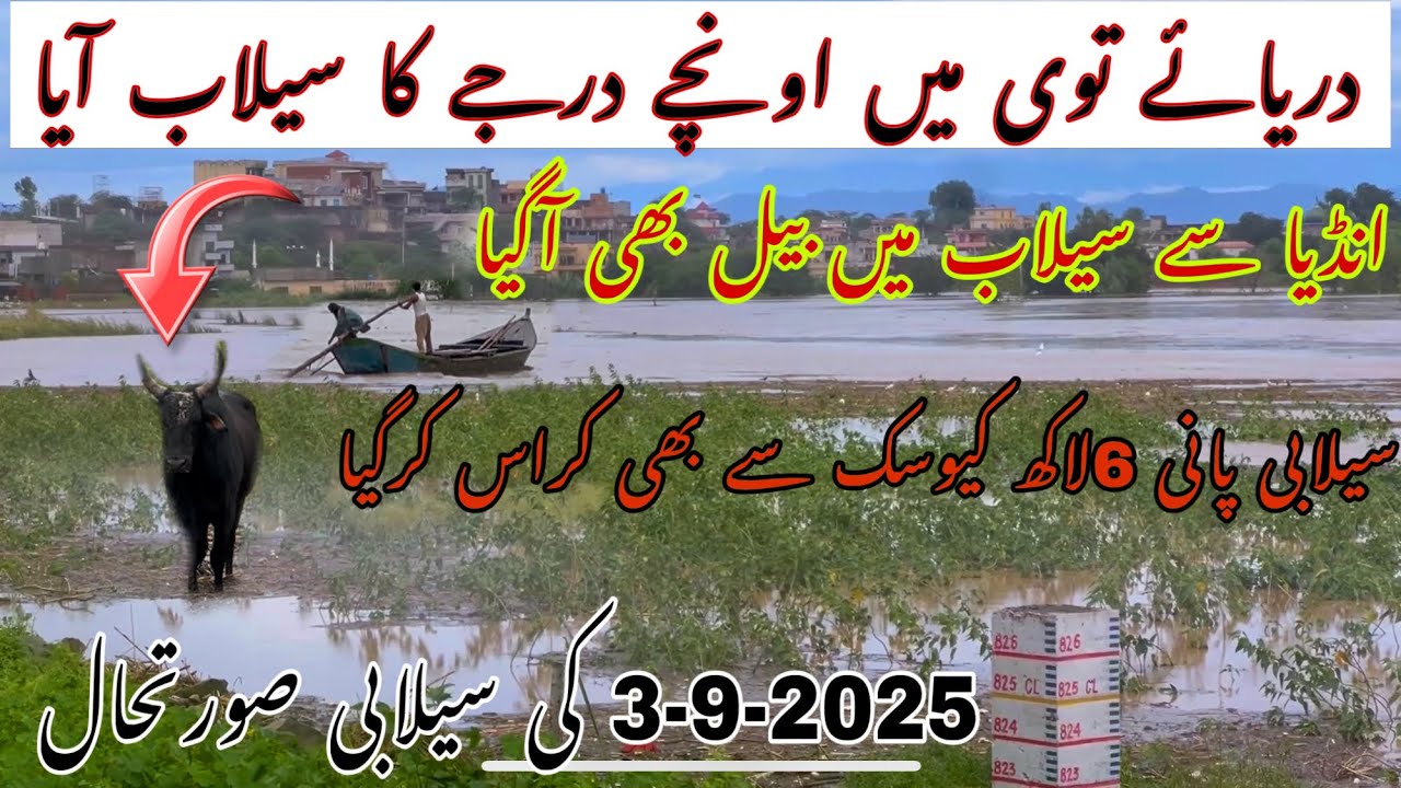 Flood update chanab river 2025 || Flood alert 🚨 
