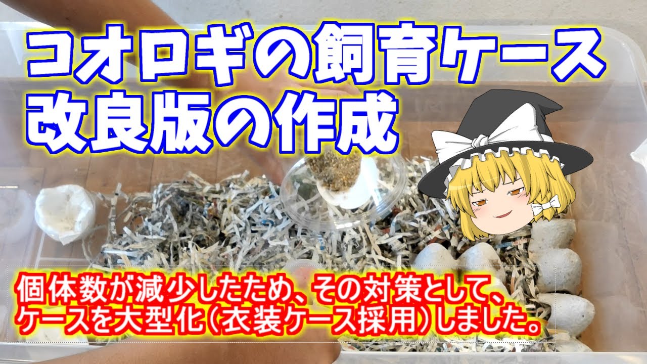 I Improved My Cricket Enclosure [Yukkuri Commentary] - YouTube