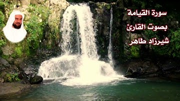 سورة القيامة بصوت القارئ/ شيرزاد عبدالرحمن طاهر - Surat Al Qiyamah