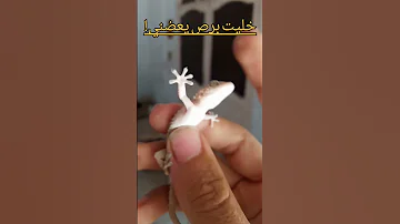 خليت برص يعضني 