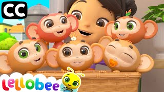 5 Little Monkeys | Nursery Rhymes with Subtitles | Lellobee ABC