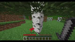 Minecraft Surajvel+Dom (2)