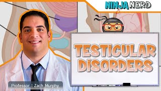 Testicular and Scrotal Disorders | Clinical Medicine
