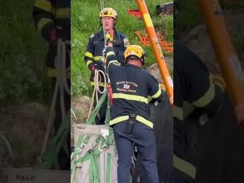 Bombeiros levam horas para retirar égua que caiu em vala; veja como foi o resgate #canalrural