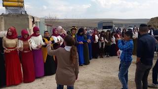 Şirvan halayyy