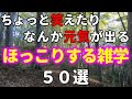 ちょっと笑えてほっこりする雑学50選【自然の中でゆっくり雑学】