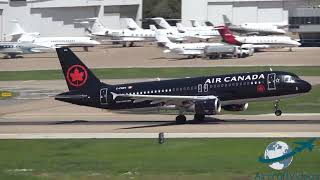 Rare Sports Charter! Air Canada Jetz "Dallas Stars" A320 Departure from DAL (4K)