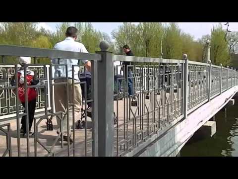 Місток закоханих у Тернополі Bridge Of Falling In Love That In Ternopil 