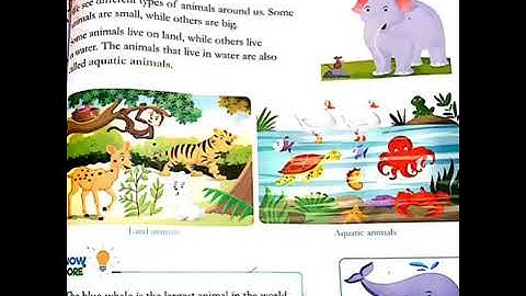 Chapter 12 The Animal Kingdom of E V S for class 1st