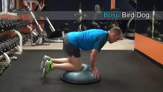 Bosu Bird Dog