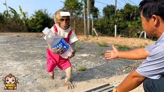 Grandpa is worry when monkey YiYi secretly takes money to buy him water while she is sick