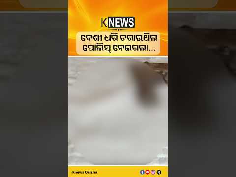 ବୌଦ୍ଧରେ ବନ୍ଧୁକ ଦେଖାଇ ଆତଙ୍କ ଅଭିଯୋଗ, ରେଙ୍ଗାଲିରୁ ଯୁବକ ଗିରଫ; ପୋଲିସ ଜବତ କଲା ଦେଶୀ ପିସ୍ତଲ | Knews Odisha