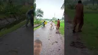 Full Comedy Video | Nonstop Funny Moments | Try Not To Laugh Challenge 😆