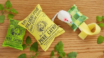 Dr. Pussums Cat Company | Pure Catnip Toy Set