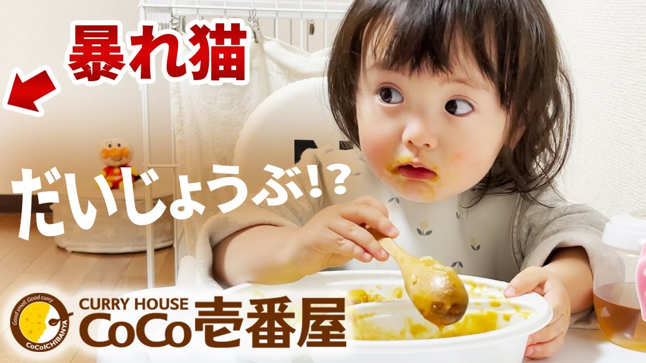 はじめてのココイチ！カレーを食べながら荒れ狂う猫を心配する1歳娘