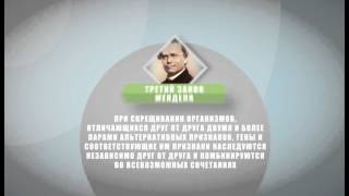Интересные факты по школьным предметам. Биология. Факт 8-й Интересные факты по школьным предметам. Биология. Факт 8-й