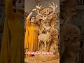 Mother and baby deer masterpiece from tree trunk! #elephantart #woodencarvings #animalsculpture