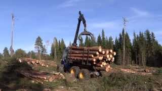 NY ROTTNE skotare med Örjan......