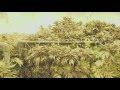 Marijuana Mania Episode 2 - When Big Business Meets Culture