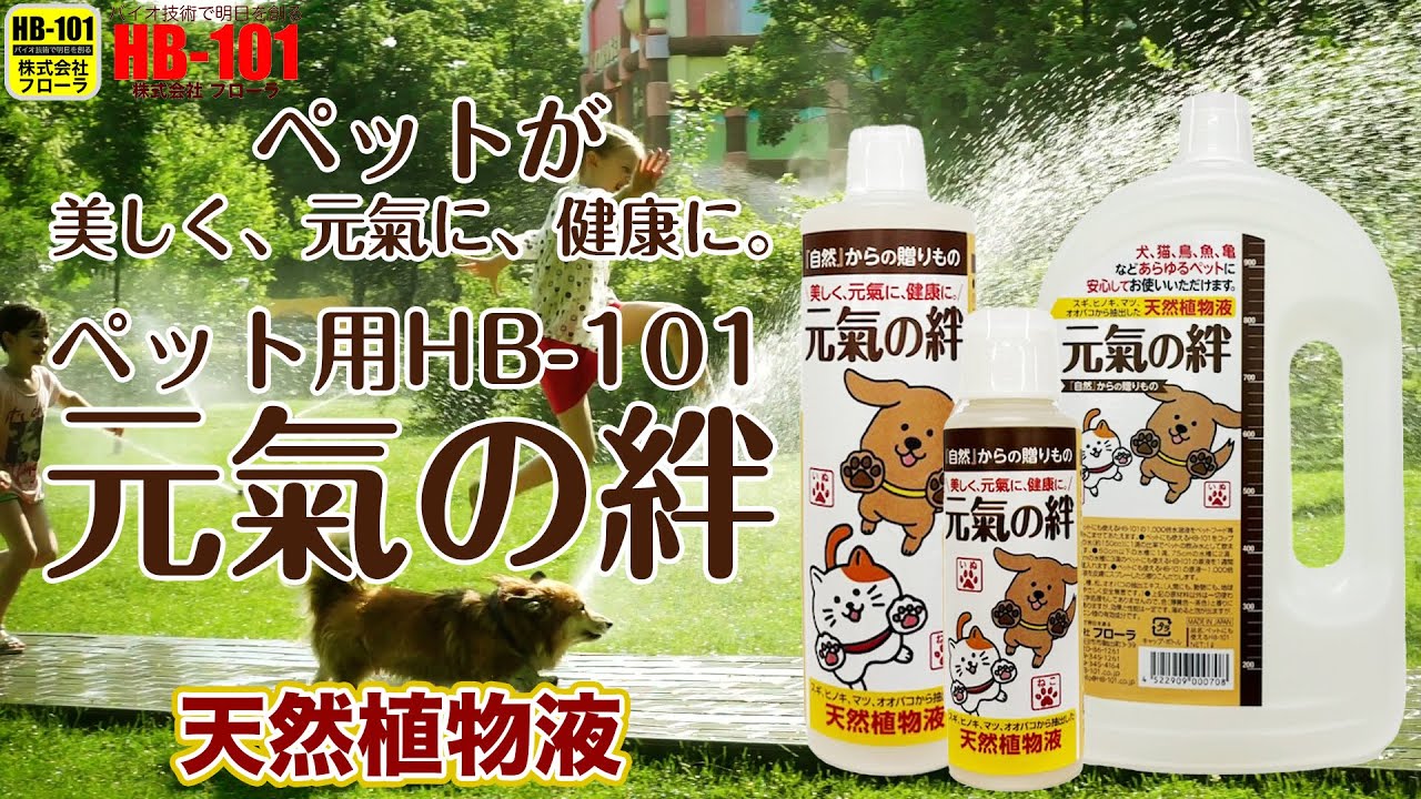 ペットも使える HB-101 1リットル 元気の絆 フローラ ペットにも使えるHB-101 元気の絆 1L 1000cc : KAKOMAN