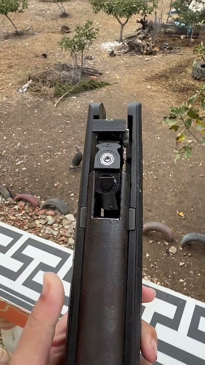Birds sniping by airgun #hunting #airgunhunters #airgunhunting #birdshunting