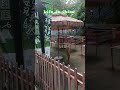 life in China #2026#travel#china#fyp #music#dance #singer #foryou #shortsfeed #lifeisbutadream