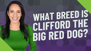 What breed is Clifford the Big Red Dog?