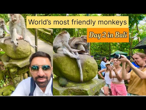 Monkey Forest : A Day Full Of Adventure And Fun | Day 2 in Ubud , Bali 🇮🇩