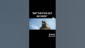 "Get the F*CK out my face!" (Godzilla x Kong meme) #godzilla #comedy #shorts #memes